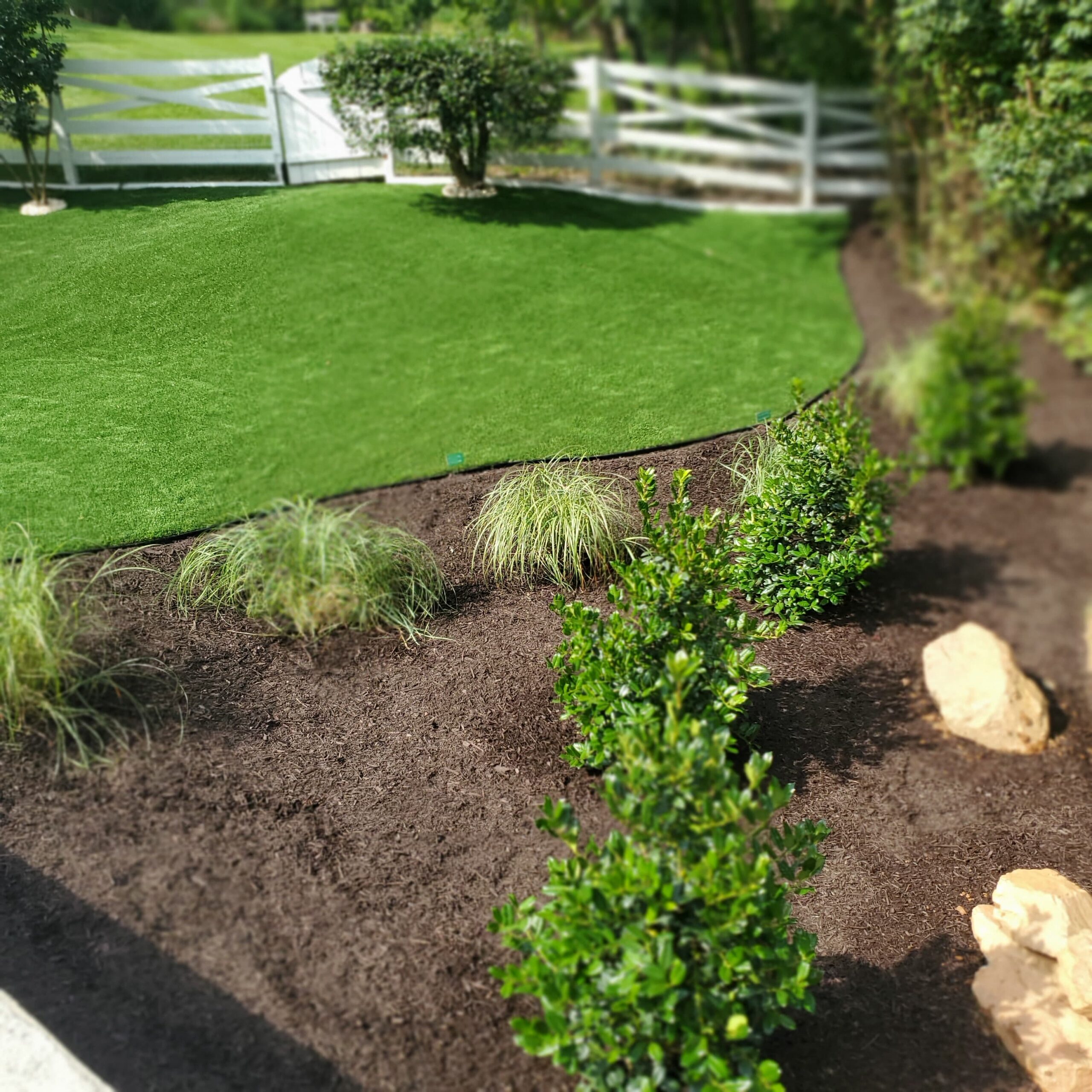 Artificial turf lawn bordered by mulched garden beds with shrubs and ornamental grasses in Great Falls